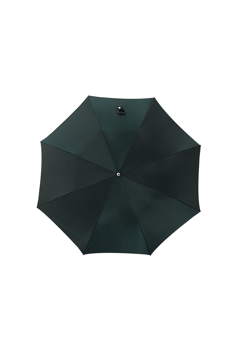 Two-fold mountain eagle folding umbrella