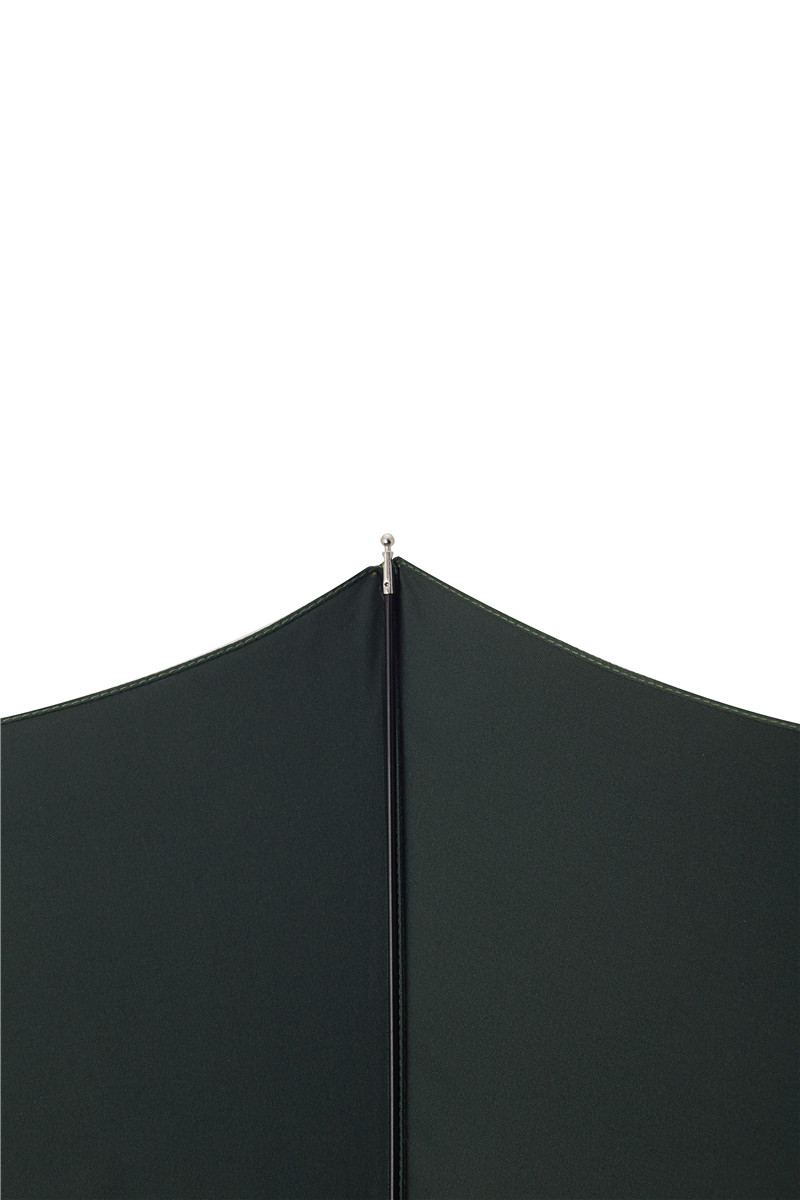 Two-fold mountain eagle folding umbrella