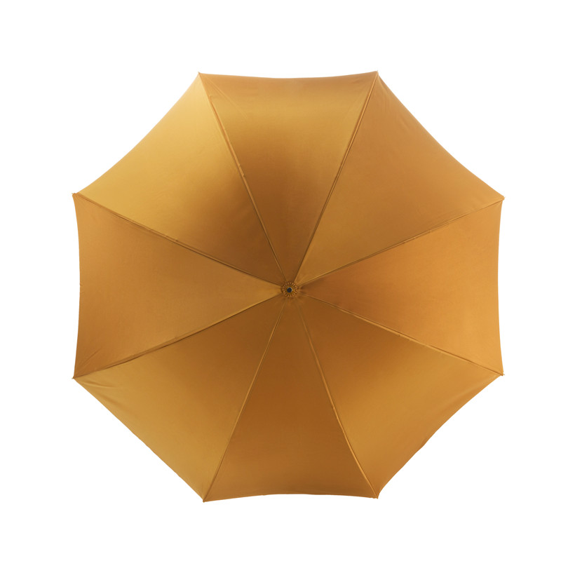 The bee dahlia double umbrella