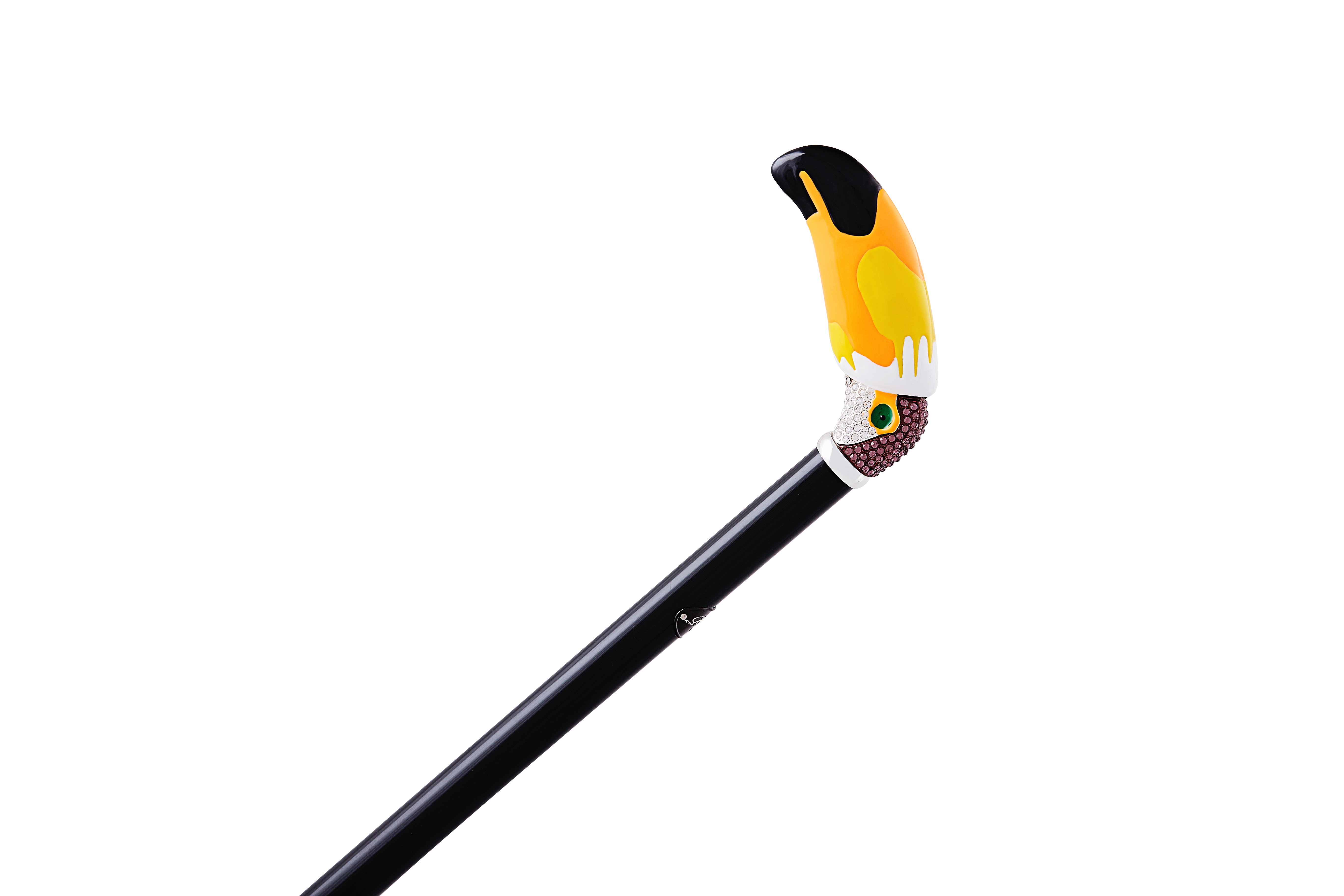 Toucan walking stick