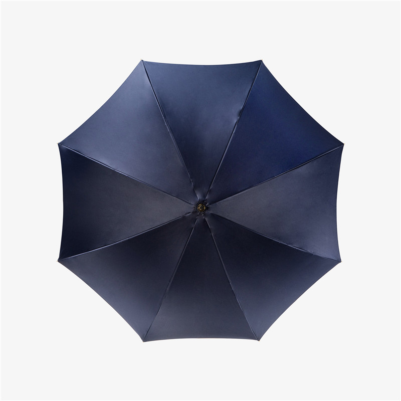 Blue swallowtail double umbrella