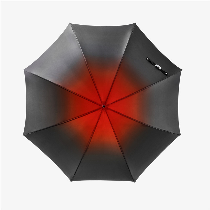 Dragon straight umbrella