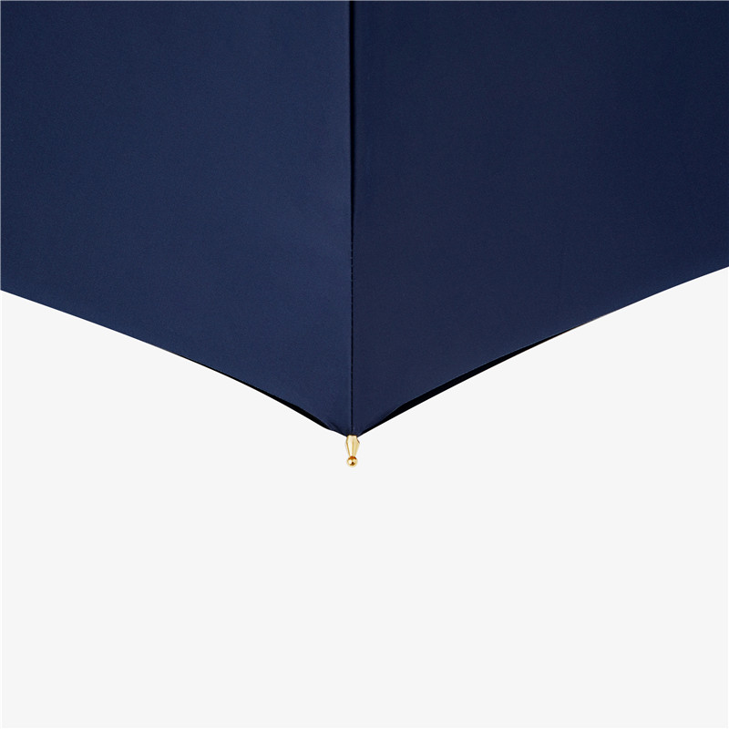 Blue swallowtail double umbrella