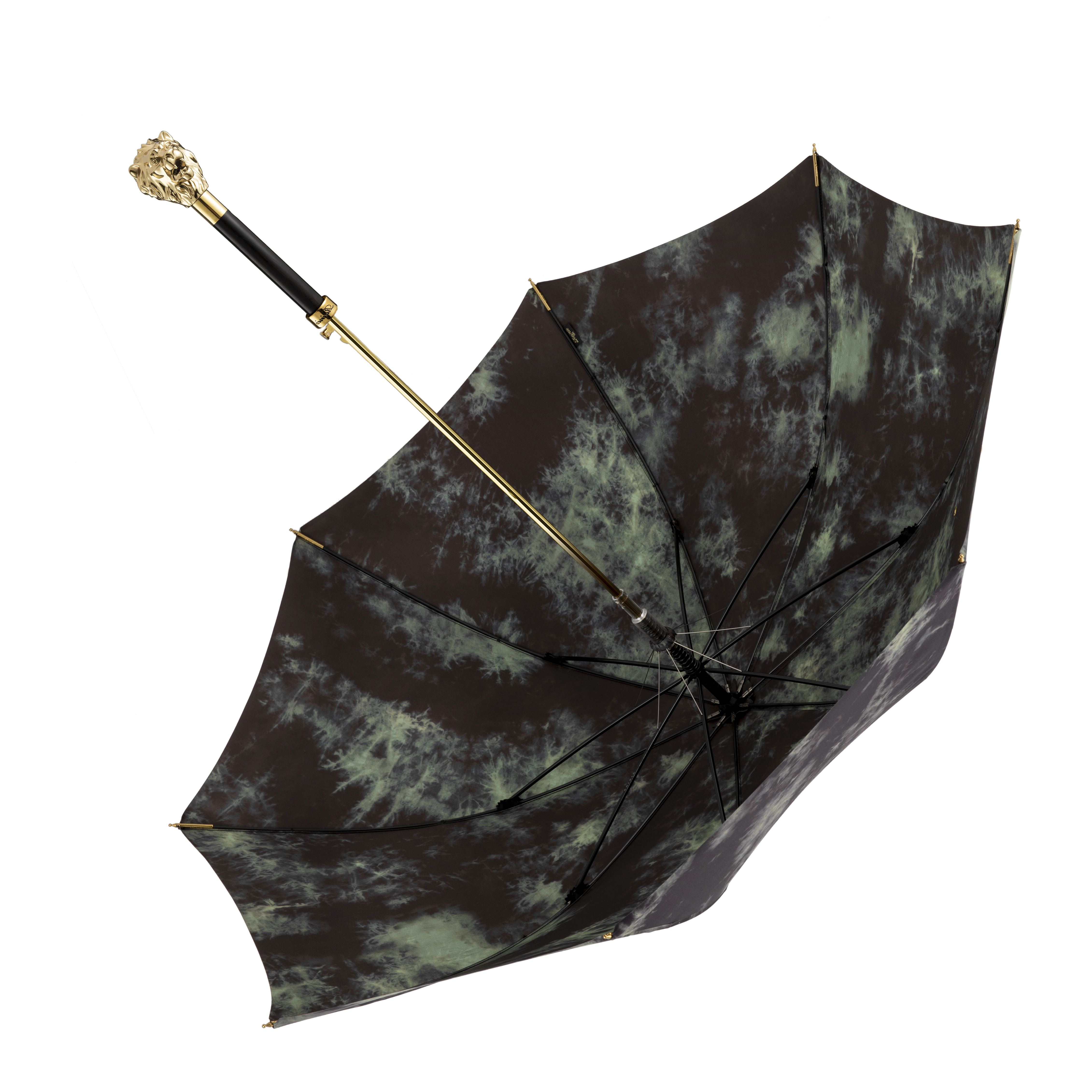 The lion long handle umbrella