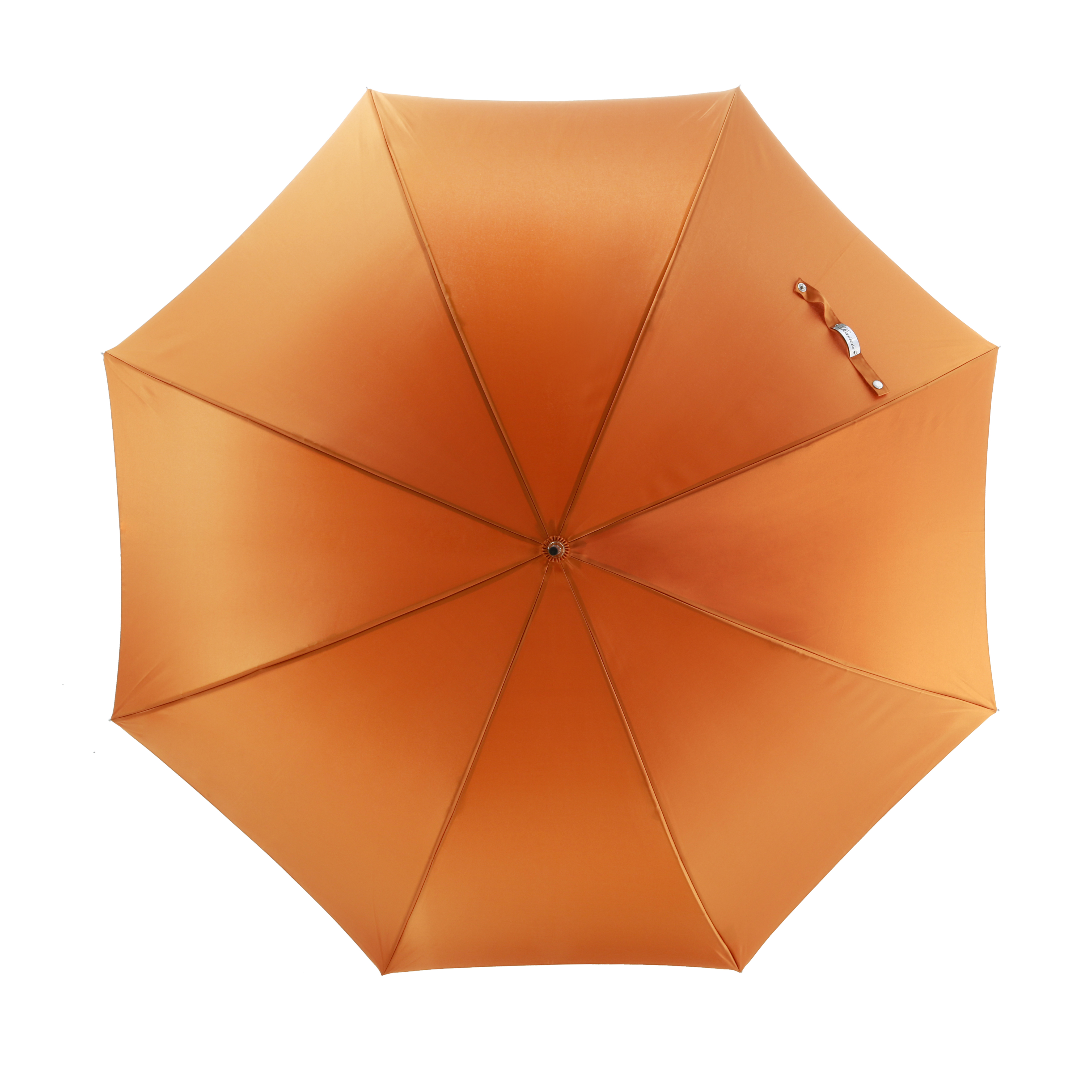 The seahorse umbrella