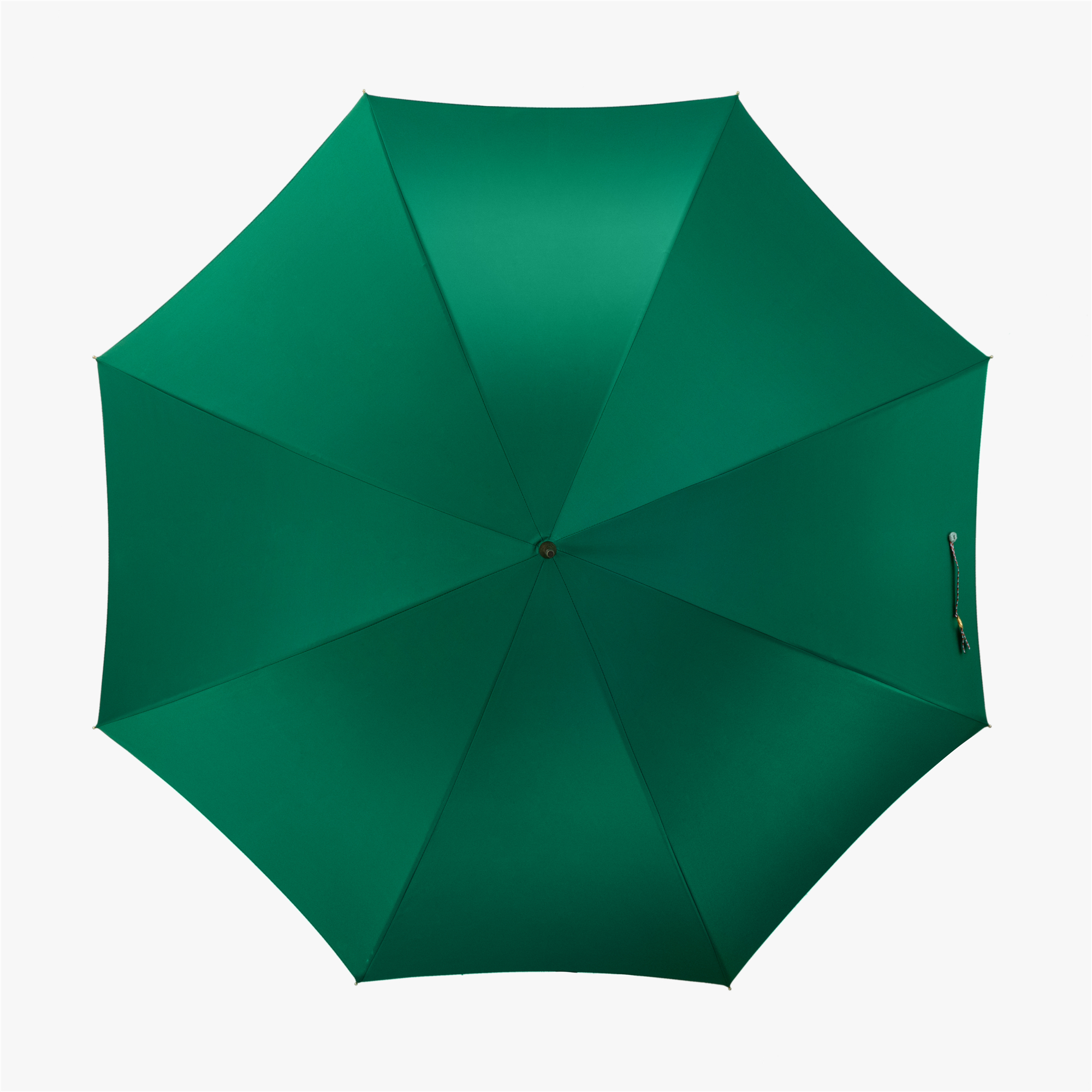 Curved vine umbrella with straight handle
