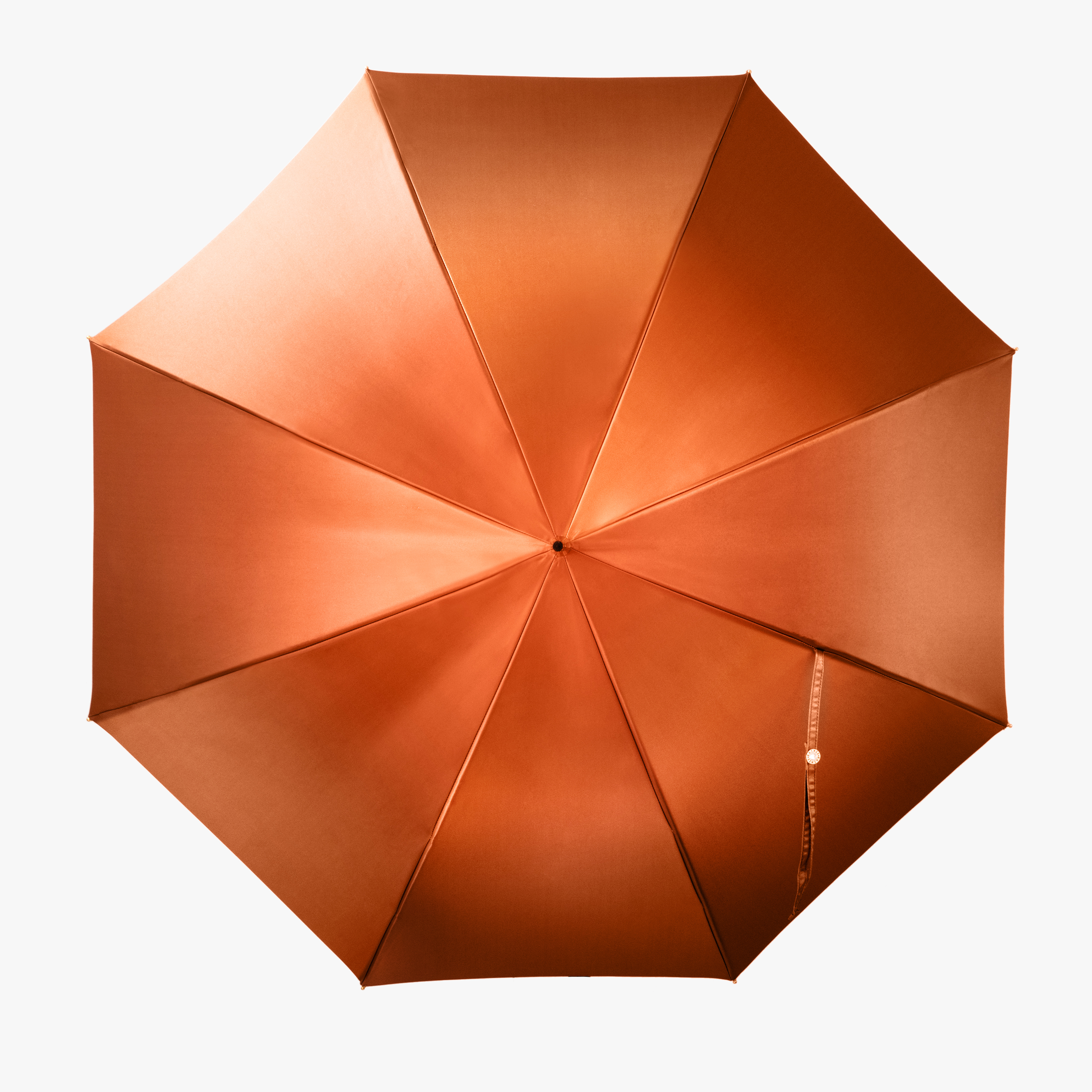 Gentleman Monkey umbrella