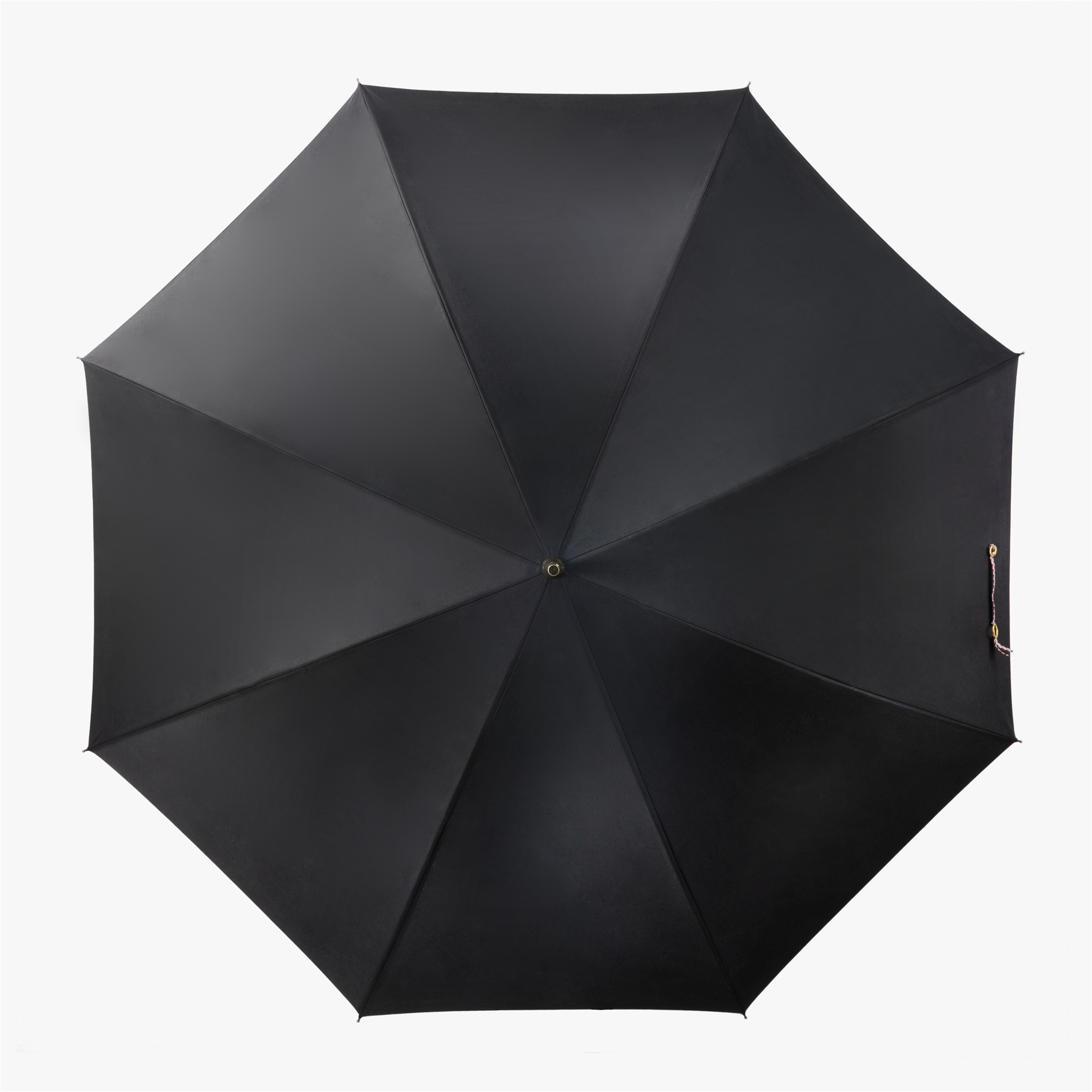 Schnauzer umbrella with straight handle