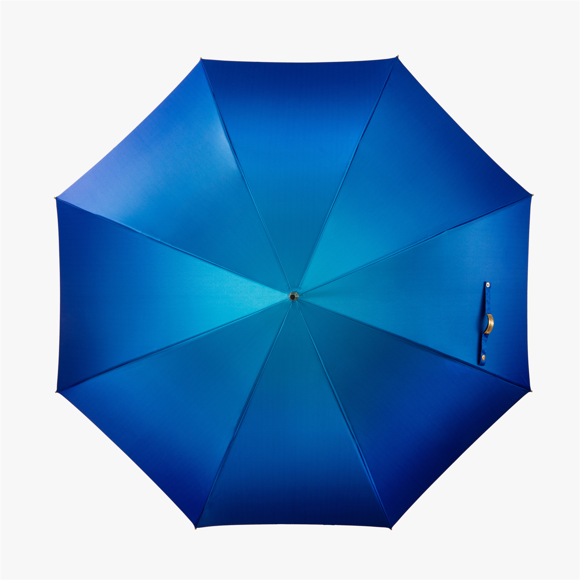 Enamelled Cobra Umbrella